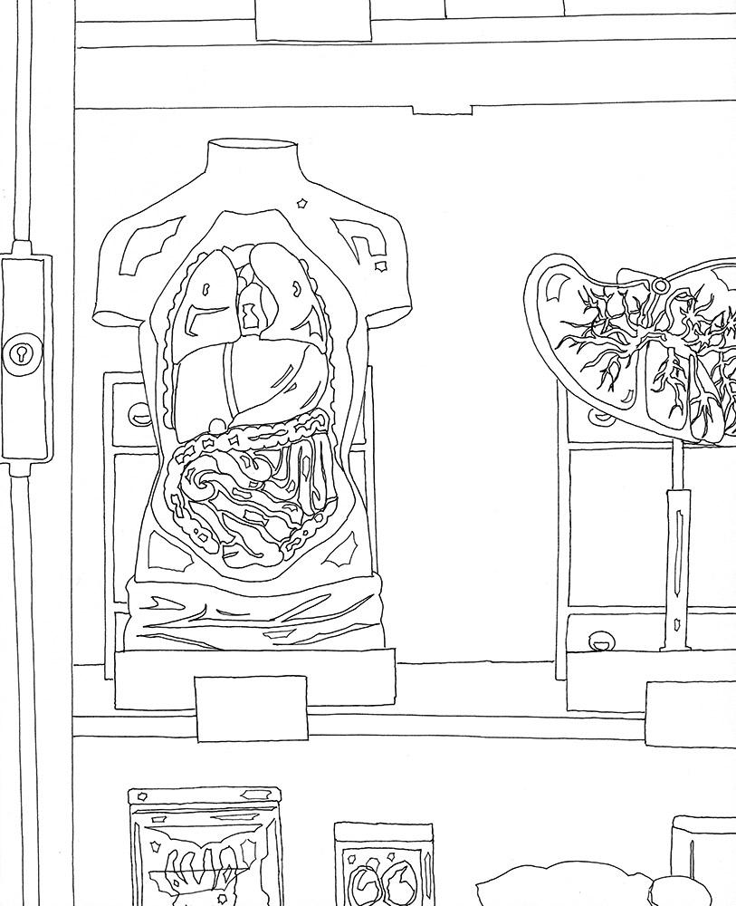 Eva Früh, Künstlerin: schaukammer, 06