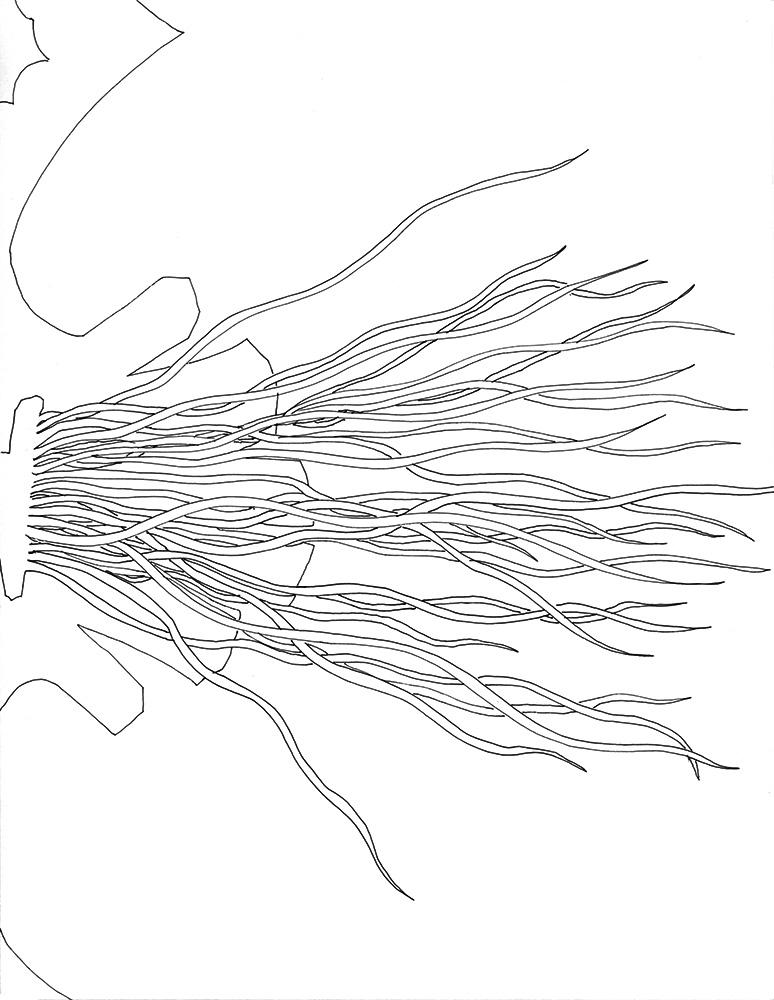 Eva Früh, Künstlerin: zu den sternen, 20